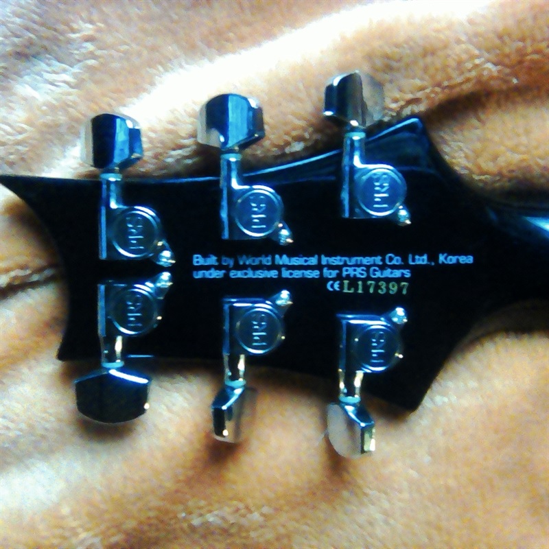 P.R.S. SE Custom 24 FBBの画像